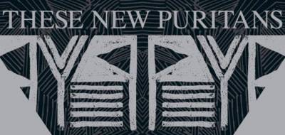 logo These New Puritans